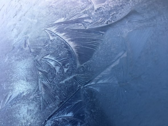 Frost patterns on a car windscreen