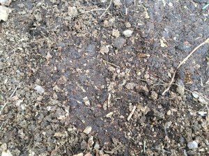 Deer hair in scrap indicate where deer have rested in the wood